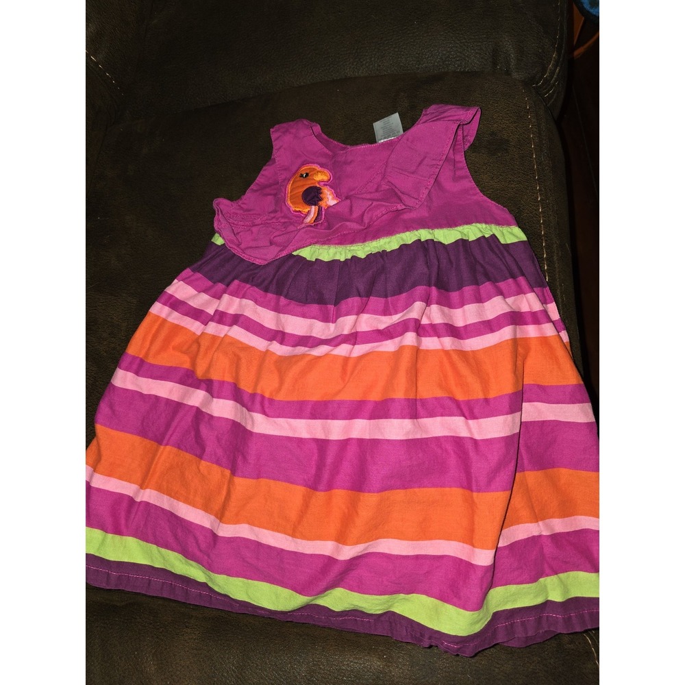 Gymboree wild for zebra parrot dress size 18 24 months